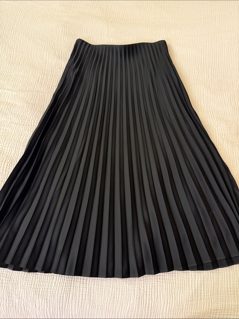 Jcrew Gwyneth Pleated skirt